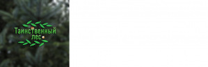 Logo1.jpg Logo1.jpg